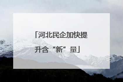 河北民企加快提升含“新”量
