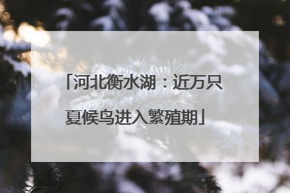 河北衡水湖：近万只夏候鸟进入繁殖期