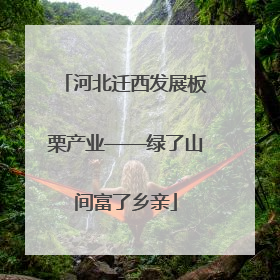 河北迁西发展板栗产业——绿了山间富了乡亲