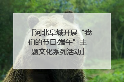 河北阜城开展“我们的节日·端午”主题文化系列活动