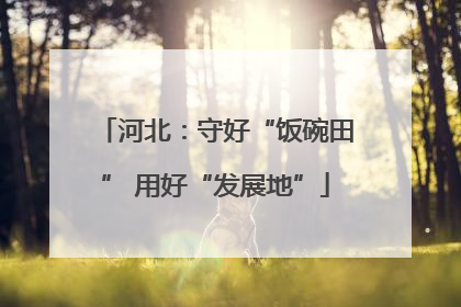 河北：守好“饭碗田” 用好“发展地”