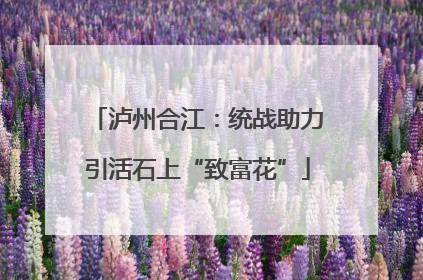泸州合江：统战助力引活石上“致富花”
