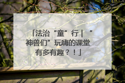 法治“童”行｜“神兽们”玩嗨的课堂有多有趣？！