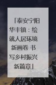 泰安宁阳华丰镇：绘就人居环境新画卷 书写乡村振兴新篇章
