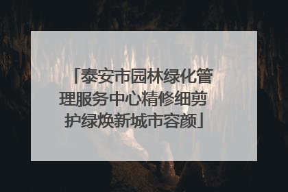 泰安市园林绿化管理服务中心精修细剪护绿焕新城市容颜