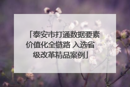 泰安市打通数据要素价值化全链路 入选省级改革精品案例
