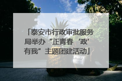 泰安市行政审批服务局举办“正青春‘政’有我”主题团建活动