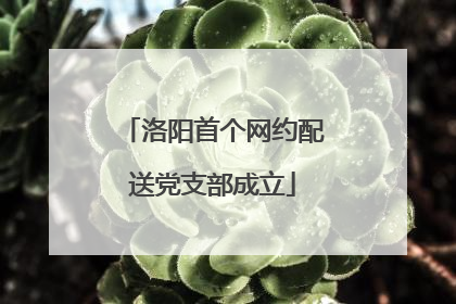洛阳首个网约配送党支部成立