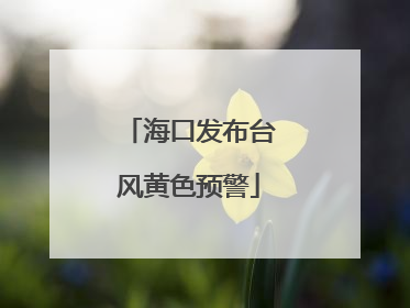 海口发布台风黄色预警
