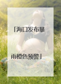 海口发布暴雨橙色预警