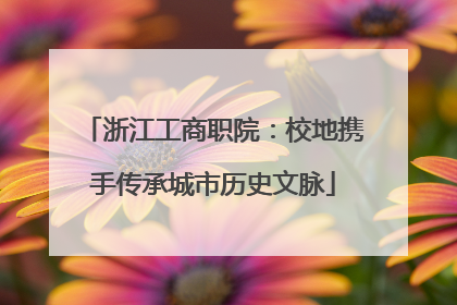 浙江工商职院：校地携手传承城市历史文脉