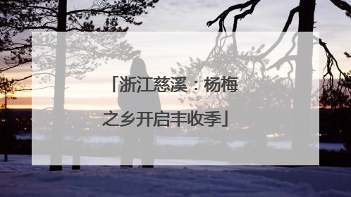 浙江慈溪：杨梅之乡开启丰收季