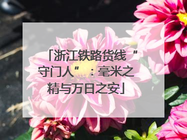 浙江铁路货线“守门人”：毫米之精与万日之安