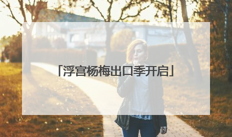 浮宫杨梅出口季开启