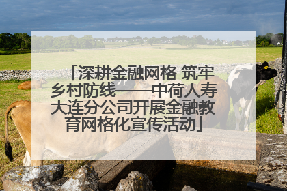深耕金融网格 筑牢乡村防线——中荷人寿大连分公司开展金融教育网格化宣传活动