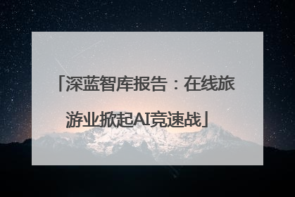 深蓝智库报告：在线旅游业掀起AI竞速战