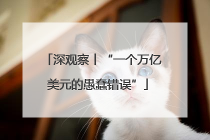 深观察丨“一个万亿美元的愚蠢错误”