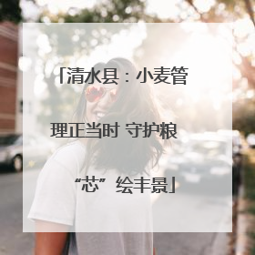 清水县：小麦管理正当时 守护粮“芯”绘丰景