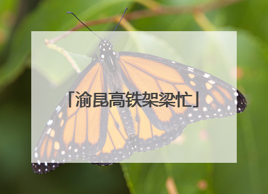 渝昆高铁架梁忙