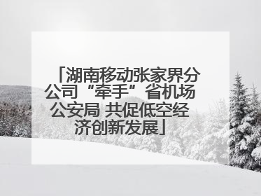 湖南移动张家界分公司“牵手”省机场公安局 共促低空经济创新发展