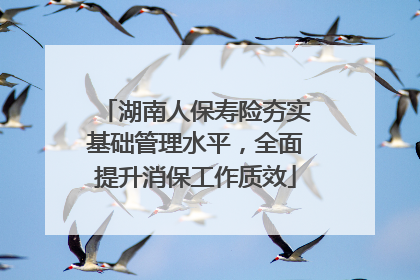 湖南人保寿险夯实基础管理水平，全面提升消保工作质效