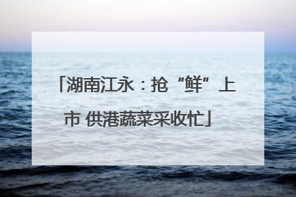 湖南江永：抢“鲜”上市 供港蔬菜采收忙