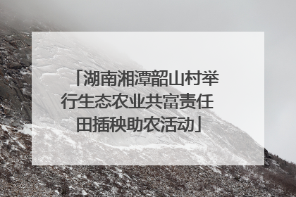 湖南湘潭韶山村举行生态农业共富责任田插秧助农活动