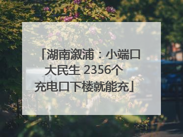 湖南溆浦：小端口大民生 2356个充电口下楼就能充