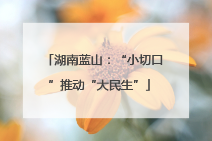 湖南蓝山：“小切口”推动“大民生”