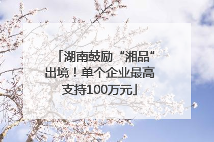 湖南鼓励“湘品”出境！单个企业最高支持100万元