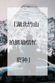 湖北竹山抢抓墒情忙夏种