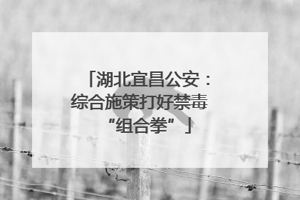 湖北宜昌公安：综合施策打好禁毒“组合拳”