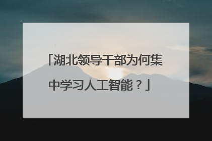 湖北领导干部为何集中学习人工智能？