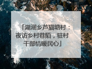 湖潮乡芦猫塘村：夜访乡村巷陌，驻村干部情暖民心