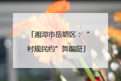 湘潭市岳塘区：“村规民约”舞蹁跹
