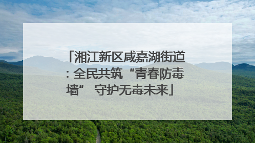 湘江新区咸嘉湖街道：全民共筑“青春防毒墙” 守护无毒未来