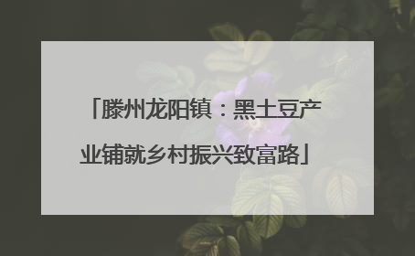 滕州龙阳镇：黑土豆产业铺就乡村振兴致富路