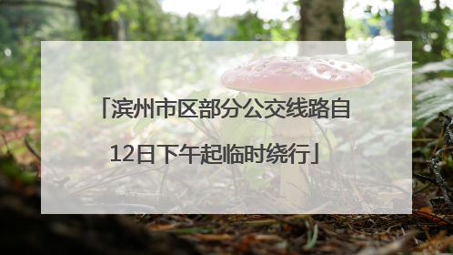 滨州市区部分公交线路自12日下午起临时绕行