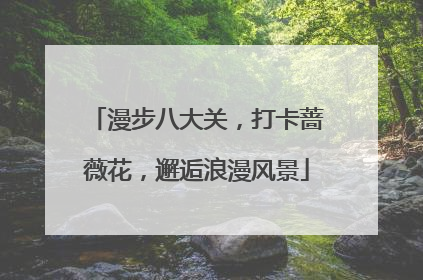 漫步八大关，打卡蔷薇花，邂逅浪漫风景