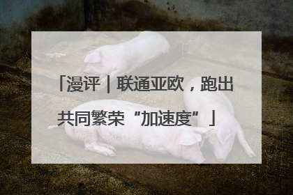 漫评｜联通亚欧，跑出共同繁荣“加速度”