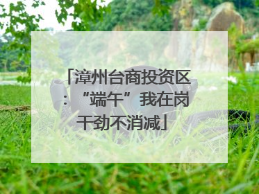 漳州台商投资区：“端午”我在岗 干劲不消减