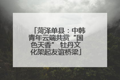 菏泽单县：中韩青年云端共赏“国色天香” 牡丹文化架起友谊桥梁