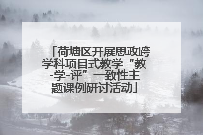 荷塘区开展思政跨学科项目式教学“教-学-评”一致性主题课例研讨活动