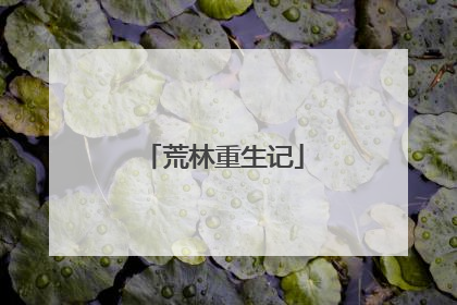 荒林重生记