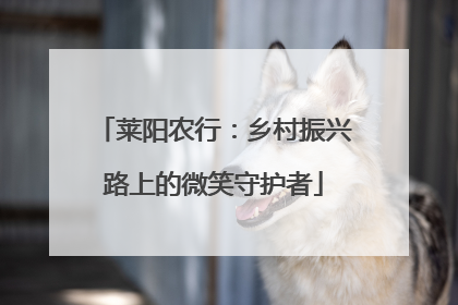 莱阳农行：乡村振兴路上的微笑守护者