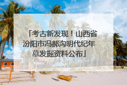 考古新发现！山西省汾阳市冯郝沟明代纪年墓发掘资料公布