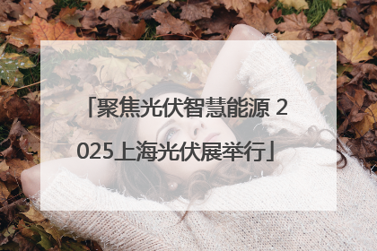 聚焦光伏智慧能源 2025上海光伏展举行
