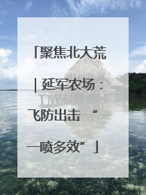 聚焦北大荒｜延军农场：飞防出击 “一喷多效”
