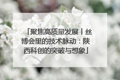 聚焦高质量发展丨丝博会里的技术脉动：陕西科创的突破与想象