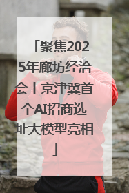 聚焦2025年廊坊经洽会丨京津冀首个AI招商选址大模型亮相